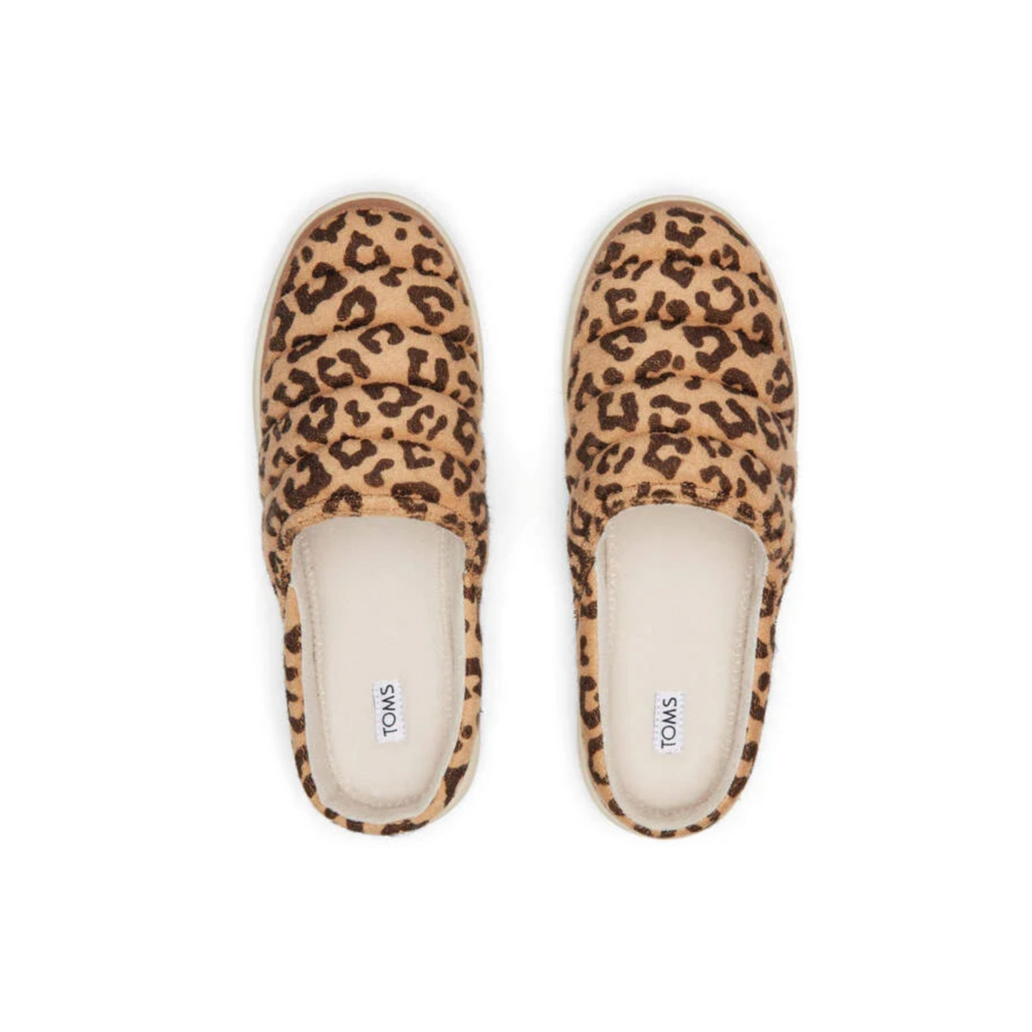 Toms Sage Slipper Leopard