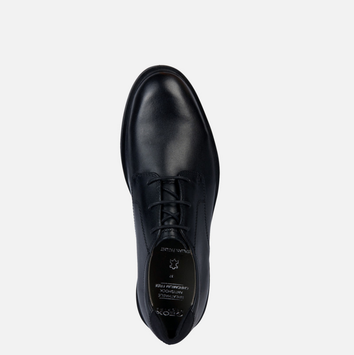 GEOX Zheeno Teen Boy Black Oxford shoes